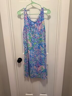 Lilly Pulitzer Kristen Swing dress